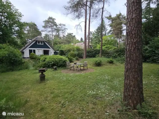 Chalet dans les bois | Pays-Bas, Drenthe, Diever - maison de vacances Chalet dans les bois | Pays-Bas, Drenthe, Diever - maison de vacances