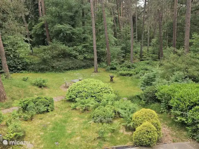 Chalet dans les bois | Pays-Bas, Drenthe, Diever - maison de vacances Vue de la chambre à droite