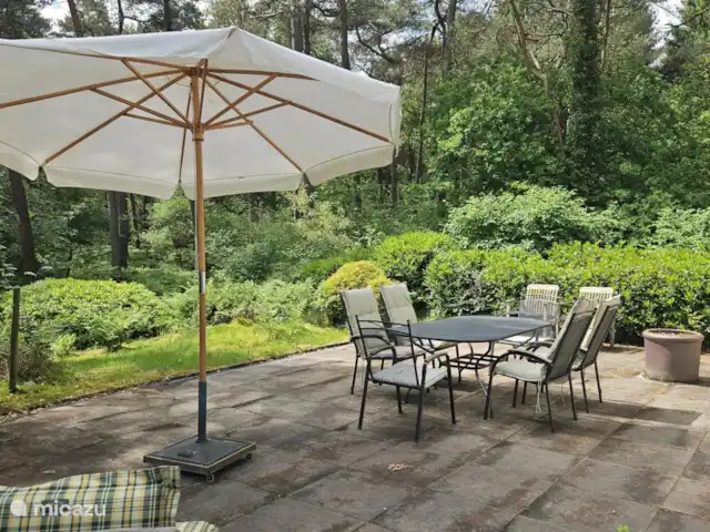 Chalet dans les bois | Pays-Bas, Drenthe, Diever - maison de vacances Terrasse arrière