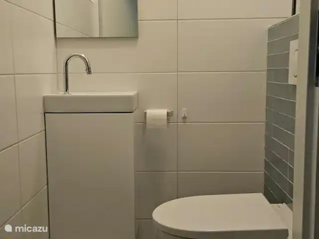 Chalet dans les bois | Pays-Bas, Drenthe, Diever - maison de vacances Toilettes au rez-de-chaussée (séparées de la salle de bain).