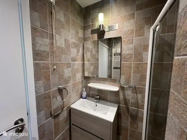 Location de Vacances Pays-Bas, Limbourg, Stramproy, maison de vacances - Fleur d’oie Salle de Bains