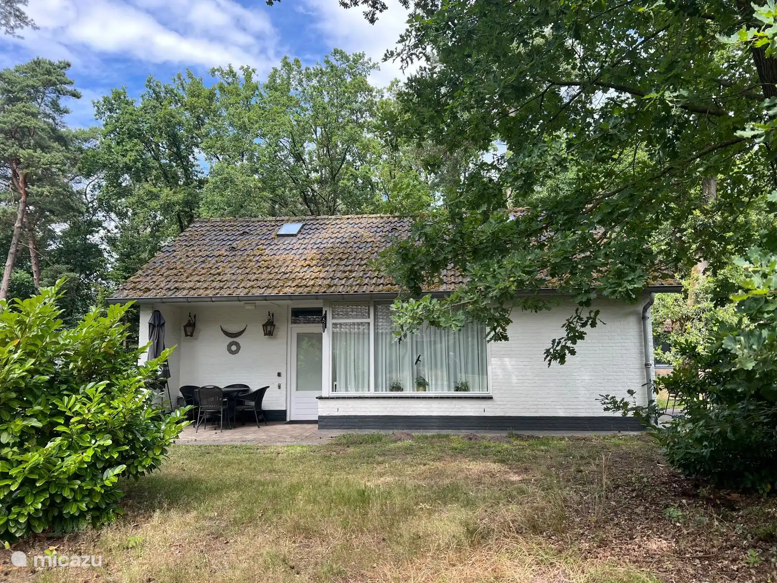 Gooseflower in Netherlands, Limburg, Stramproy - holiday house