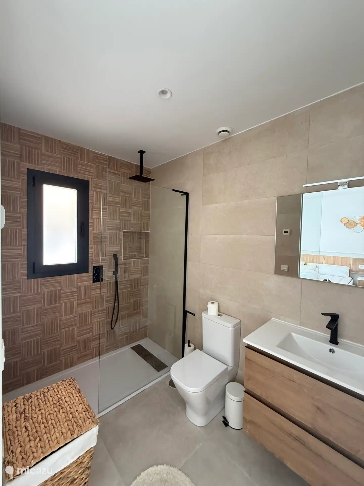 Ducha con inodoro y lavabo