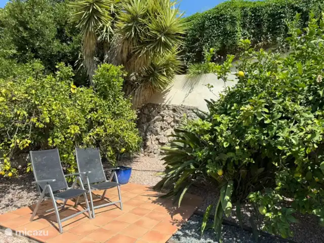 Villa 10p Orba Pool & Great Views! huren in Spanje, Costa Blanca, Orba - villa Zitje in de achtertuin