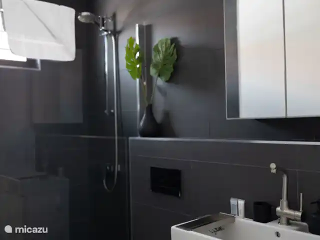 Tropisch Paradijs bij Jan Thiel huren in Curaçao, Banda Ariba (oost), Jan Thiel - villa Badkamer