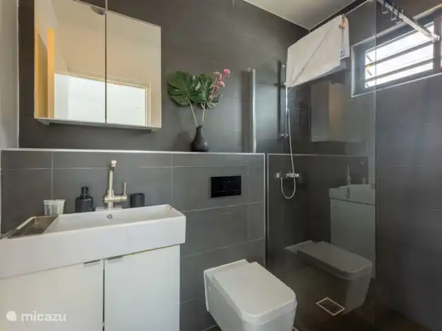 Tropisch Paradijs bij Jan Thiel huren in Curaçao, Banda Ariba (oost), Jan Thiel - villa Badkamer