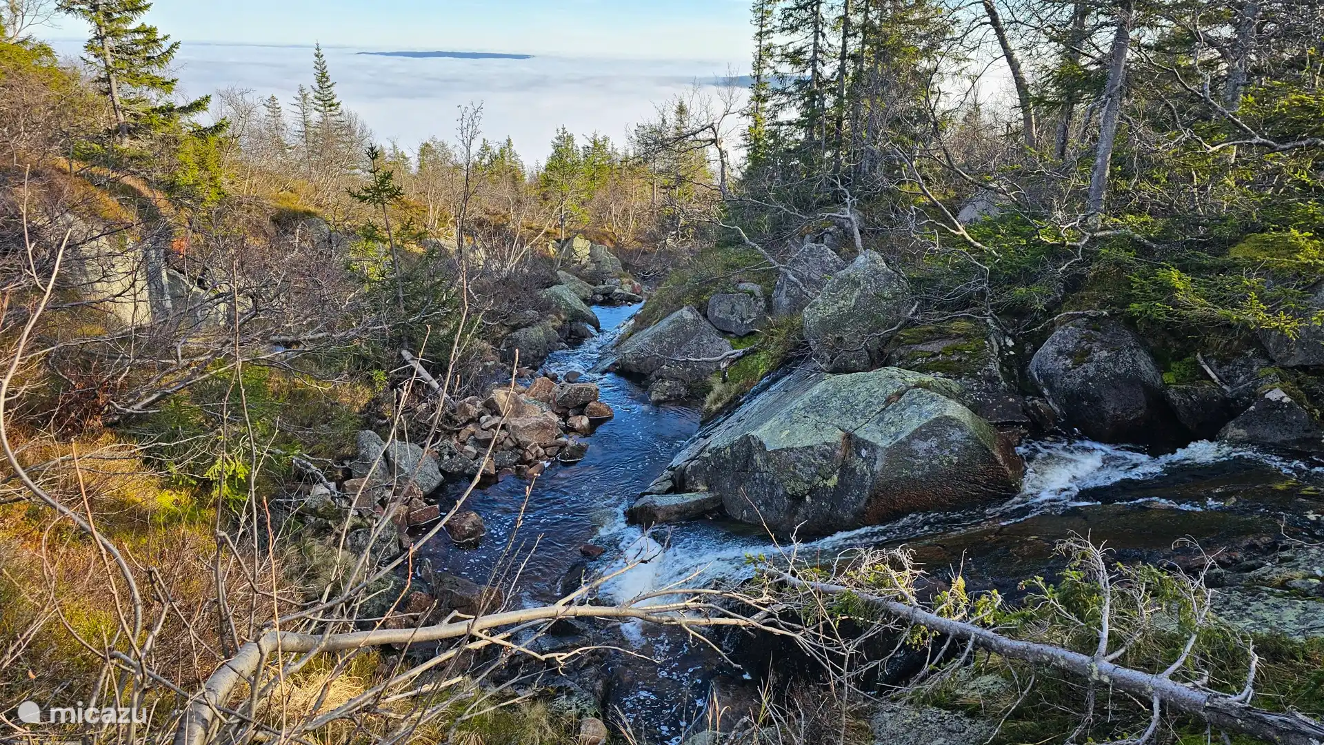Umgebung von Norefjell
