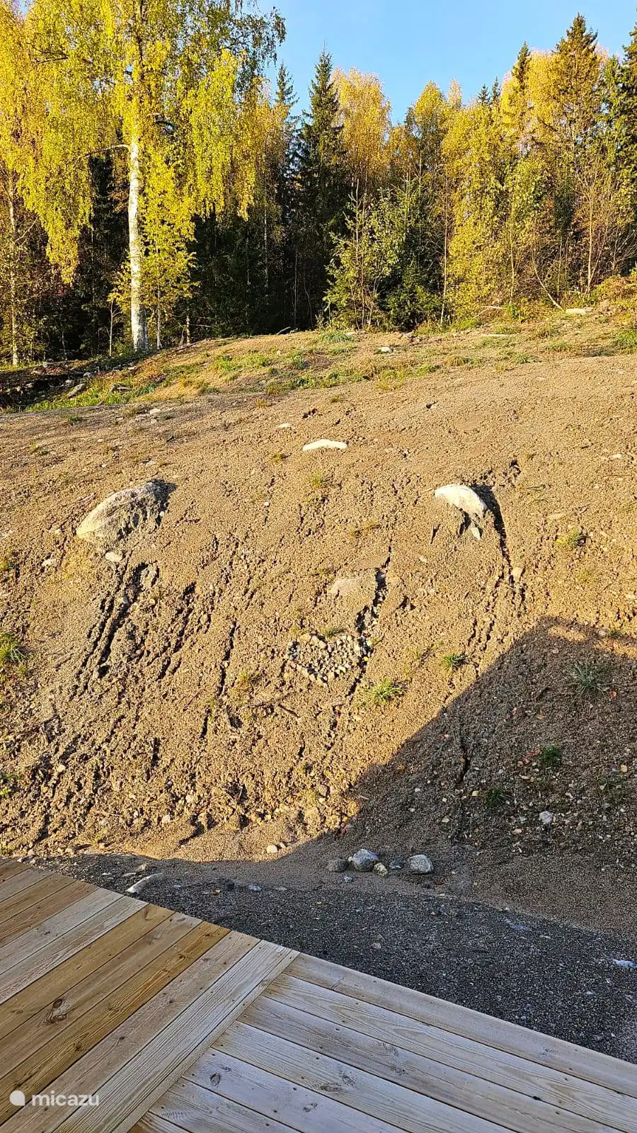 Herz im Garten hinter dem Haus