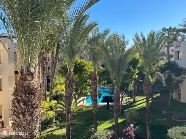Location de Vacances Espagne, Costa Cálida, San Javier, penthouse - Penthouse Pentaguila  La vue du balcon sur le magnifique jardin et l’une des piscines.