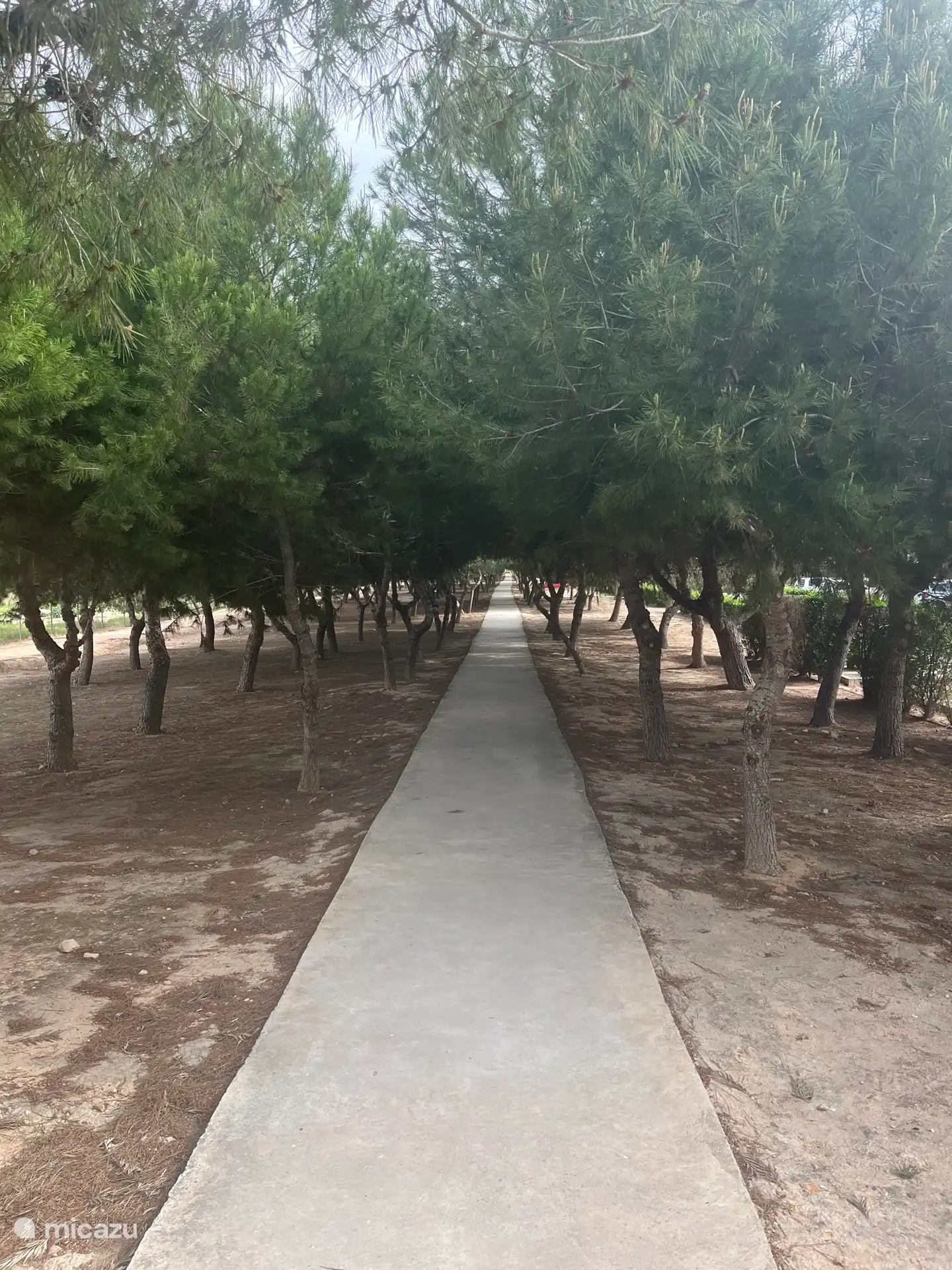 Das gesamte Roda Golf & Beach Resort verfügt über schöne, enge Wanderwege.