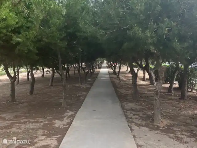 Location de Vacances Espagne, Costa Cálida, San Javier, penthouse - Penthouse Pentaguila  L’ensemble du Roda Golf & Beach Resort possède de beaux sentiers de randonnée étroits.