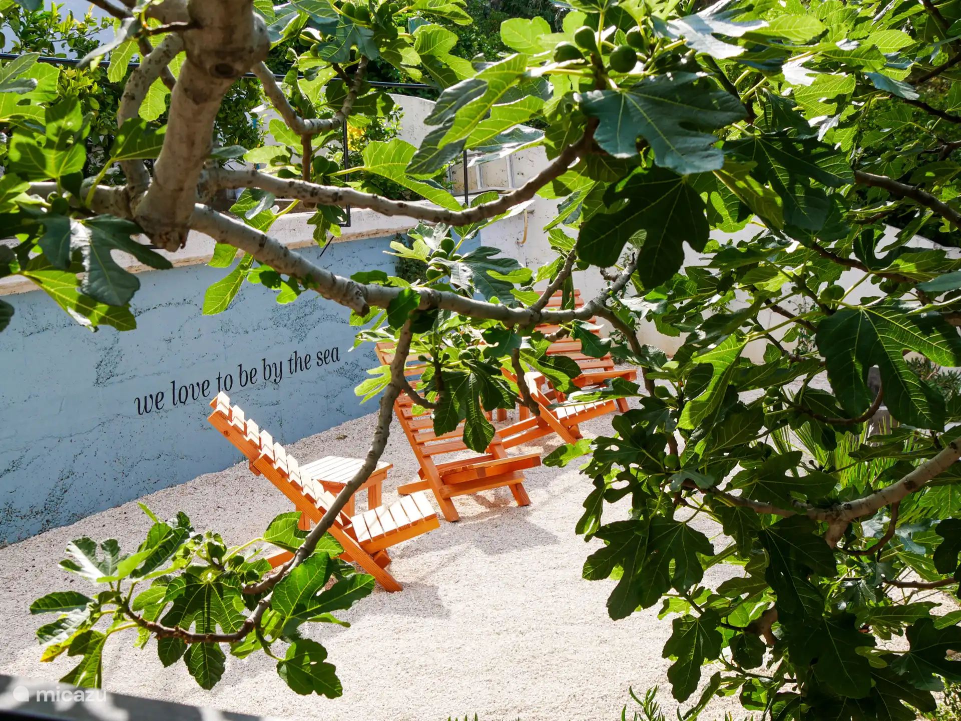 Jardín