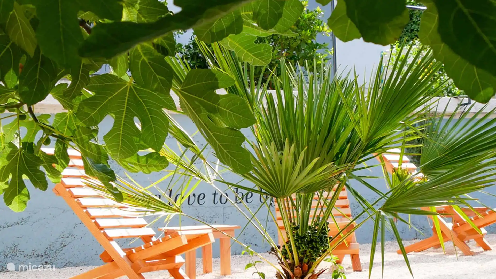 Jardín
