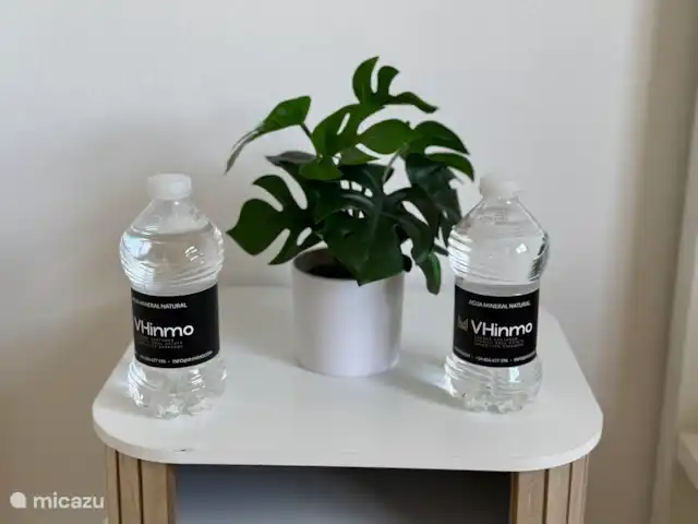 La Casa para disfrutar la vida  huren in Spanje, Costa Cálida, Torre Pacheco - appartement We verwelkomen iedere gast ook met een fles Water bij aankomst