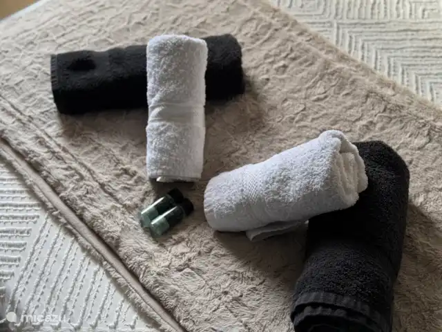 La Casa para disfrutar la vida  huren in Spanje, Costa Cálida, Torre Pacheco - appartement Voldoende handdoeken , zeep en shampoo bij aankomst