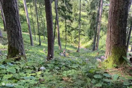 Descubra el versátil pueblo de Brand, un maravilloso destino de vacaciones durante todo el año