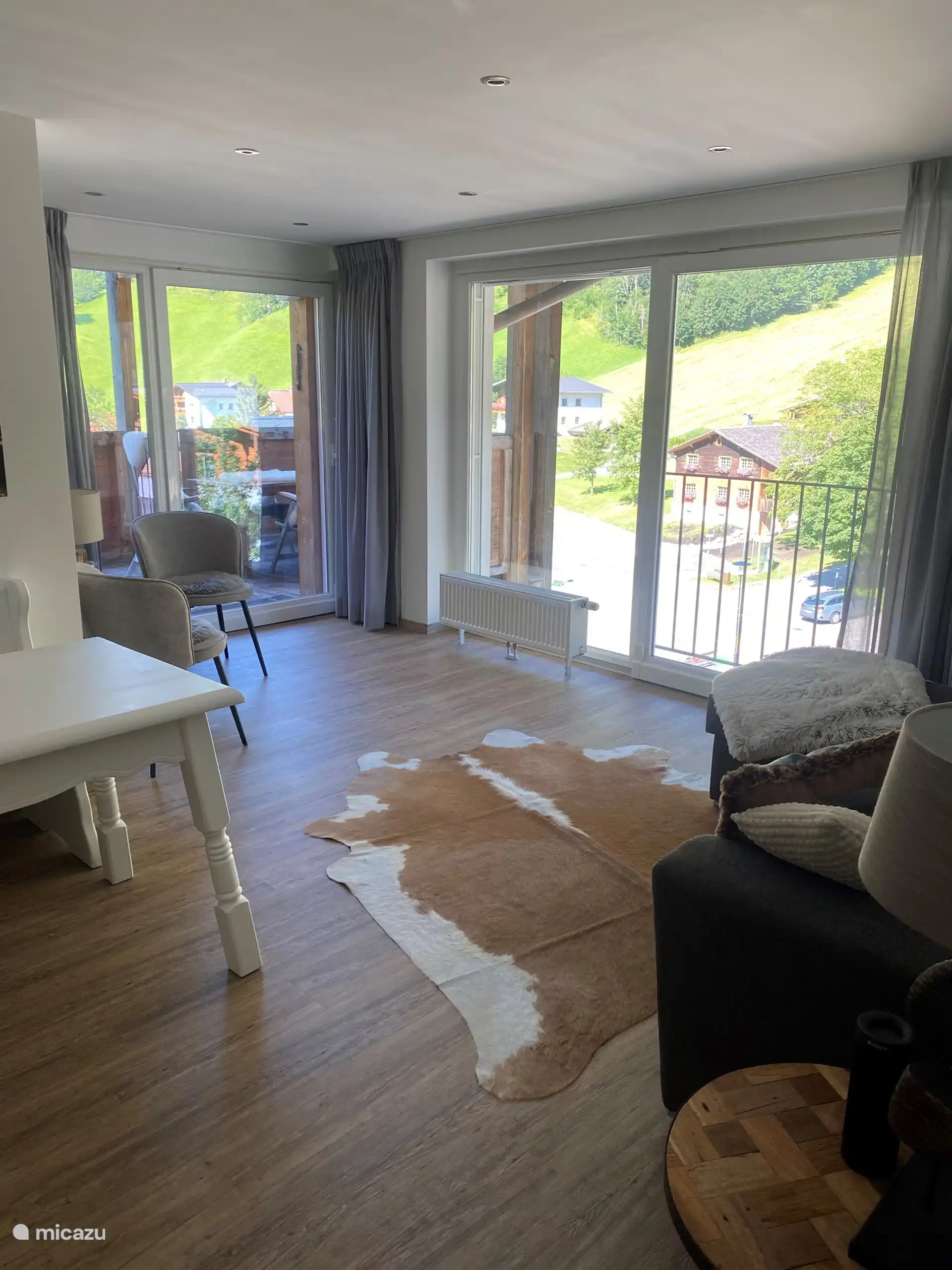 Living room and windows