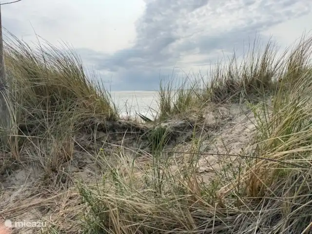 Uitwijck | Pays-Bas, Zélande, Dishoek - maison de vacances Vue sur les dunes