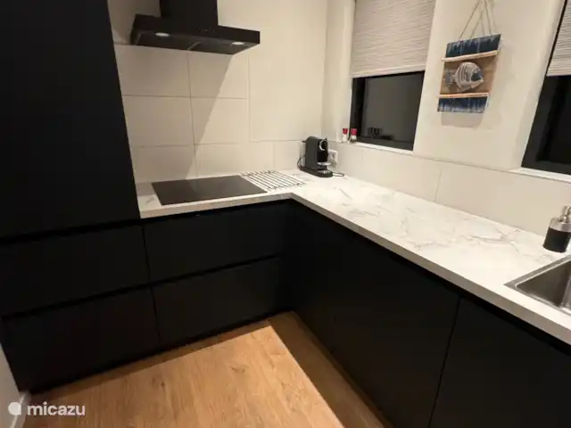 Uitwijck | Pays-Bas, Zélande, Dishoek - maison de vacances Cuisine avec réfrigérateur, plaque à induction, lave-vaisselle, four mixte, quooker