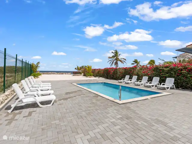 Bon Azul 5A en Curazao, Bandabou (oeste), Westpunt - casa vacacional Disfrute de la refrescante piscina con vistas panorámicas al mar. Alrededor de la piscina hay cómodas tumbonas listas para la máxima relajación bajo el sol.