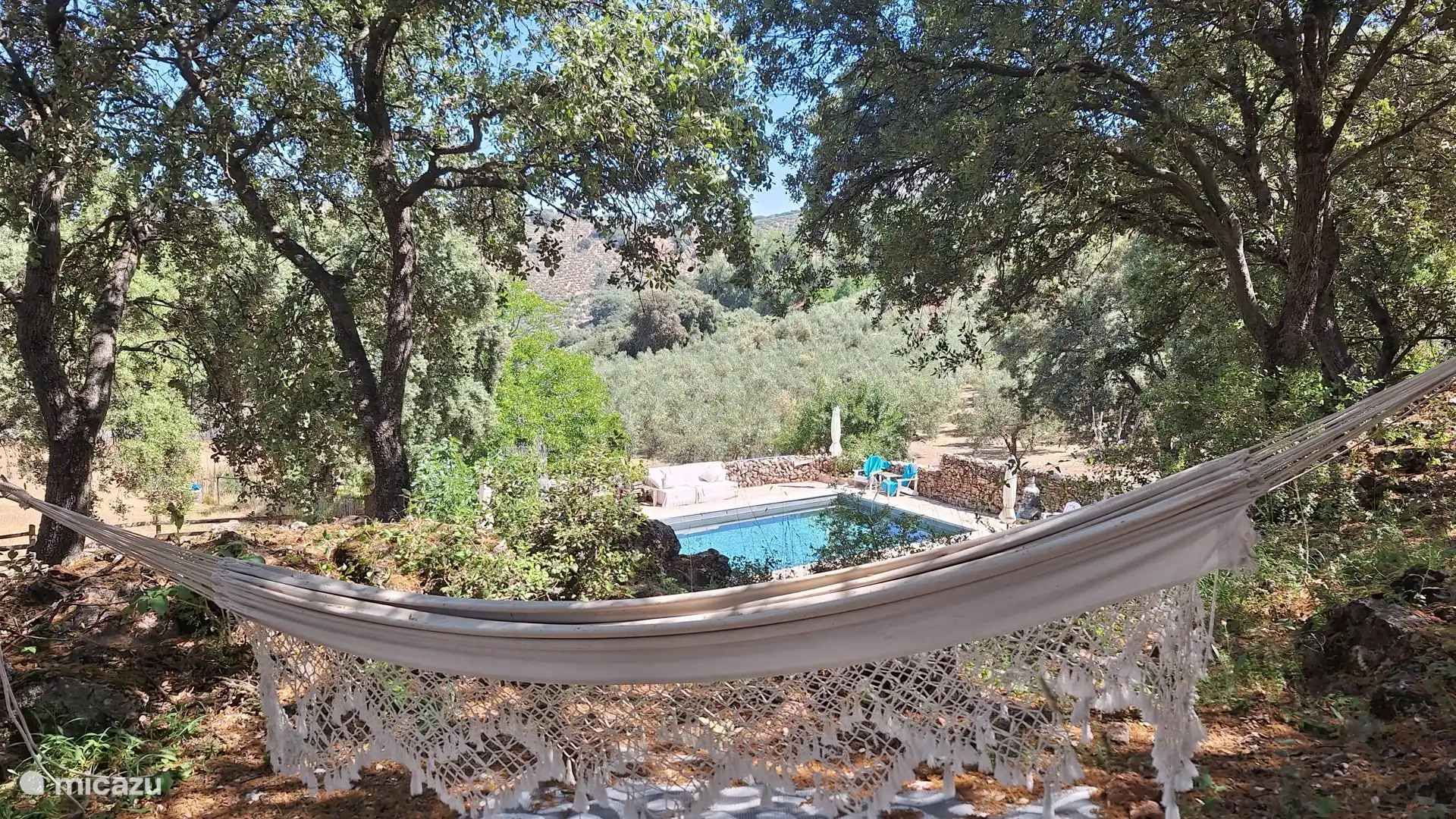 Hammock