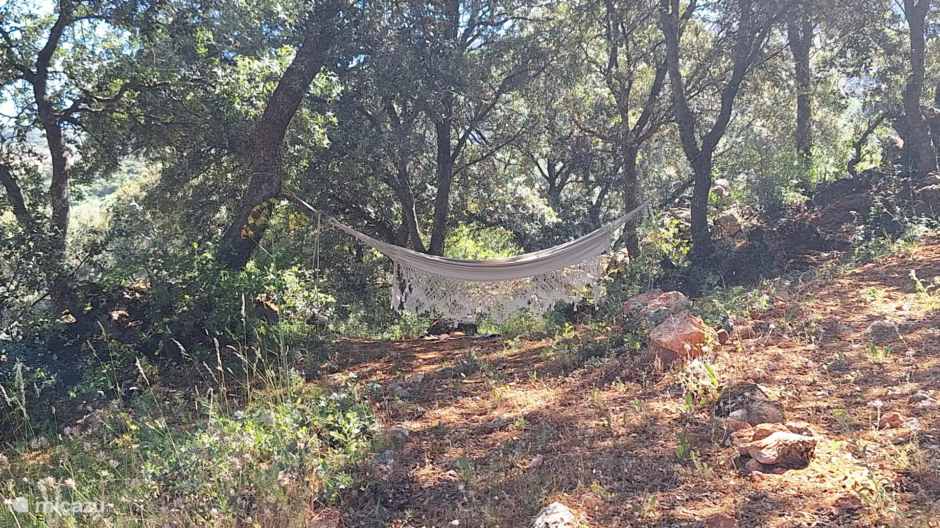 Hammock