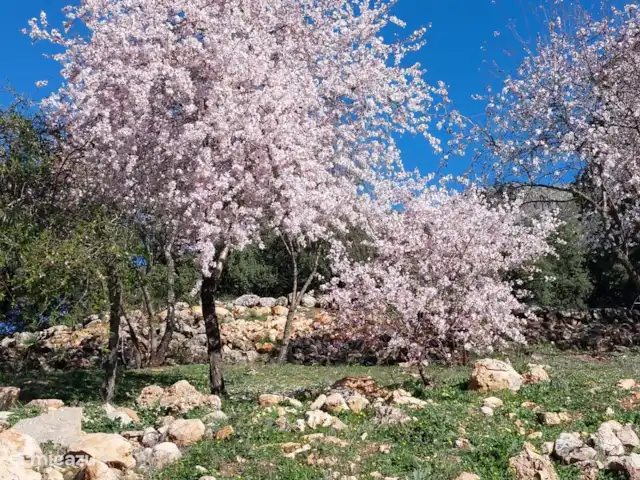 Casa Montaña Rustica huren in Spanje, Andalusië, Montefrio - vakantiehuis Finca