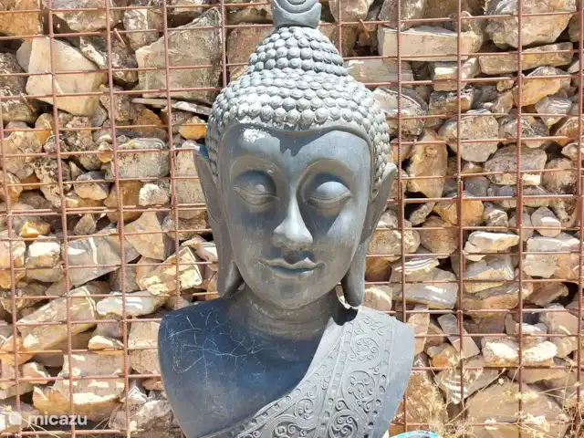 Casa Montaña Rustica huren in Spanje, Andalusië, Montefrio - vakantiehuis Zwembad