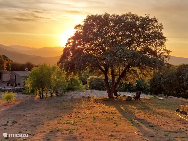 Casa Montaña Rustica en España, Andalucía, Montefrio  - Casa vacacional Casa Montaña Rustica en España, Andalucía, Montefrio  - Casa vacacional