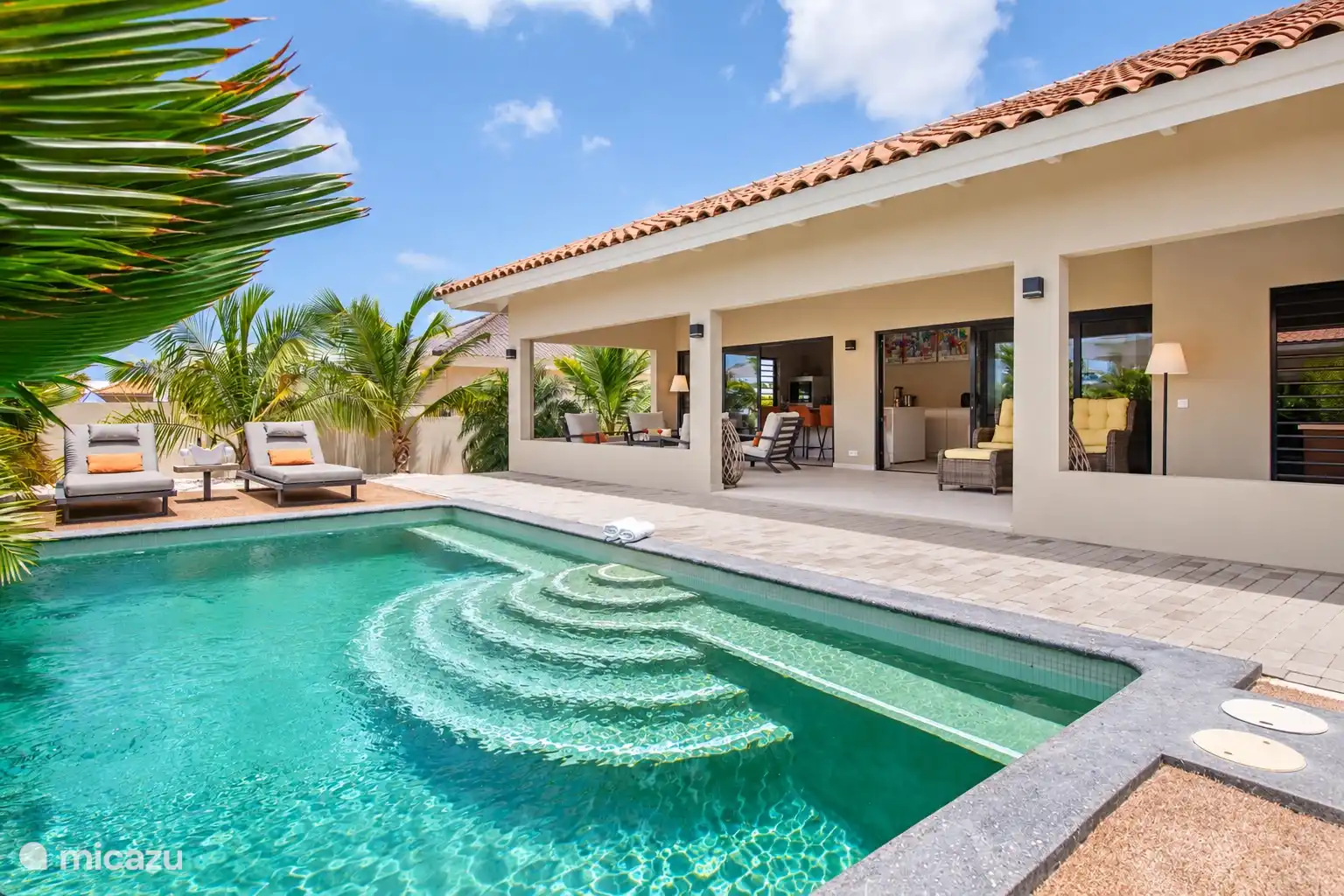 The tropical backyard