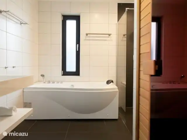 Luxe villa Winterberg Alexander 4 huren in Duitsland, Sauerland, Neuastenberg - Winterberg - villa Badkamer met douche, ligbad en sauna
