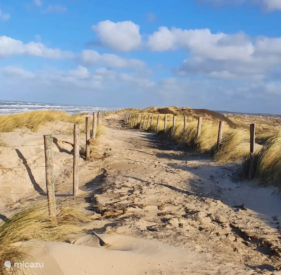 Strand Egmond aan Zee