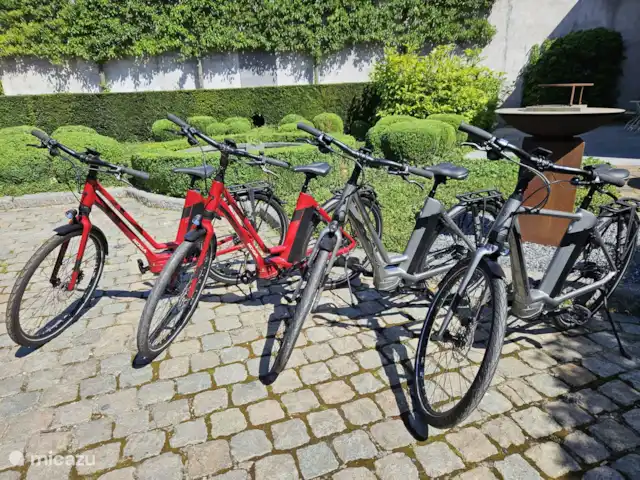 Hof Der Heerlijckheid | Belgique, Limbourg, Tongres-Looz - maison de vacances 4 vélos électriques (disponibles à la location)