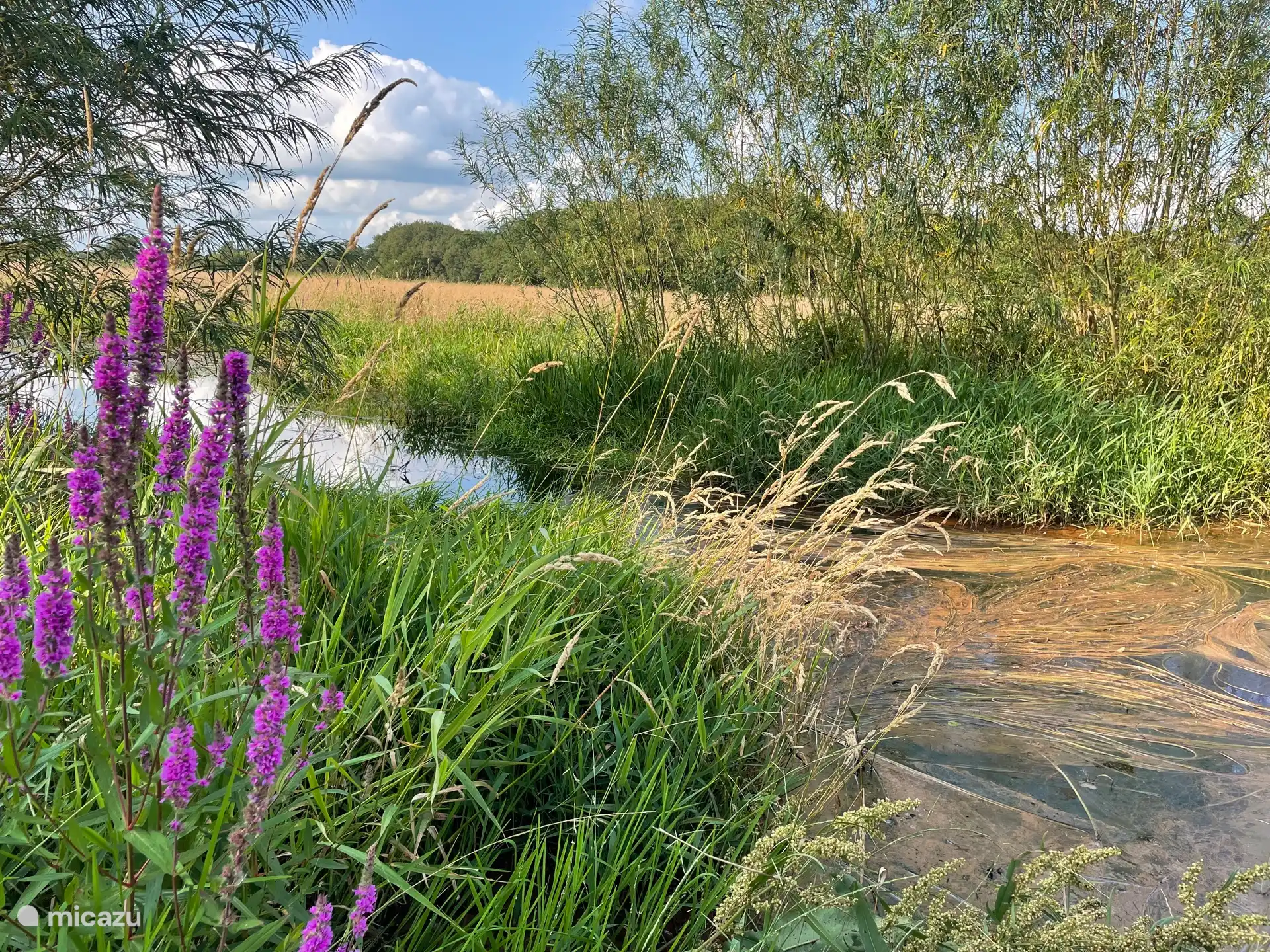 rondje wandelen of fietsen door het reestdal