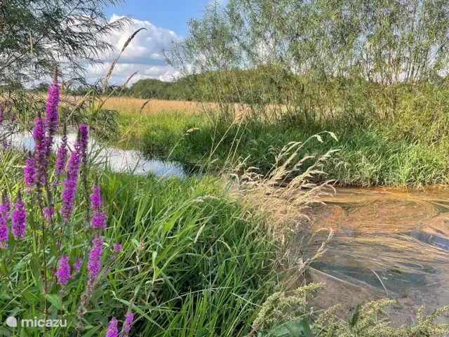 Eco-lodge, slow living by nature huren in Nederland, Overijssel, De Krim - tiny house rondje wandelen of fietsen door het reestdal
