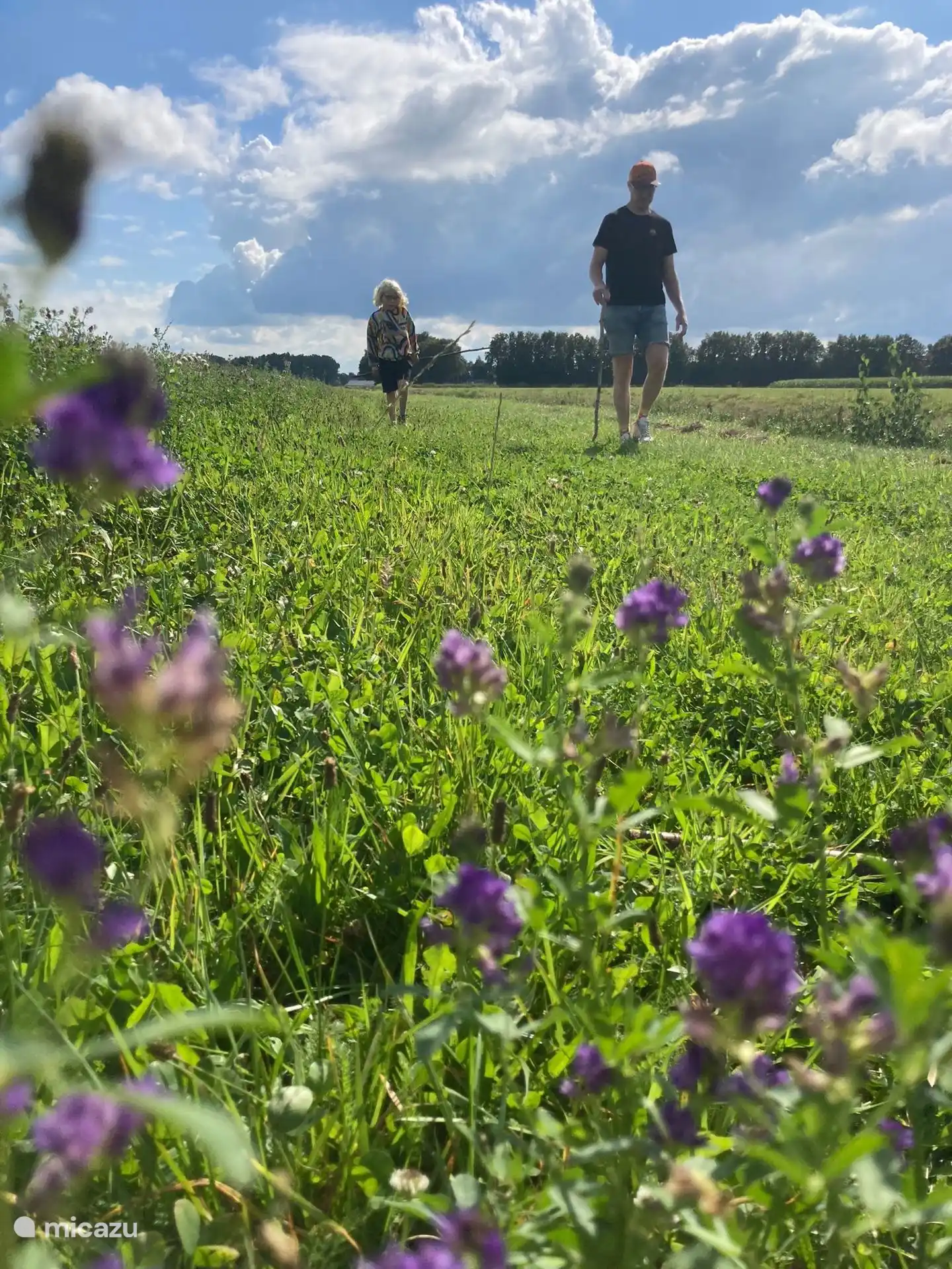 wandel vanaf de camping het akkerpad door bos of het fourageergebied de vloeivelden