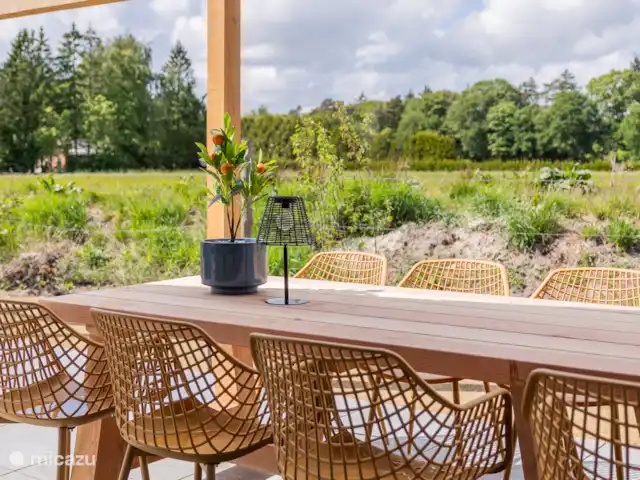 Location de Vacances Pays-Bas, Frise, Appelscha, maison de vacances - Villa de Koele  terrasse