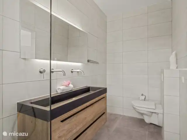 Elisabeth Resort en Mambo Beach en Curazao, Banda Arriba (este), Bapor Kibra - villa Moderno cuarto de baño con ducha efecto lluvia.