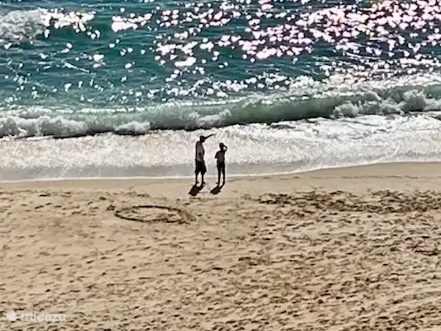 “Connosco Resort” 3-ka. Ricardo huren in Portugal, Algarve, São Bartolomeu De Messines - appartement De mooiste stranden liggen op slechts kwartiertje a 20 minuten rijden van ons resort.