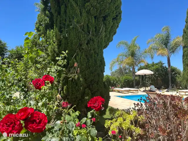 “Connosco Resort” 3-ka. Ricardo huren in Portugal, Algarve, São Bartolomeu De Messines - appartement