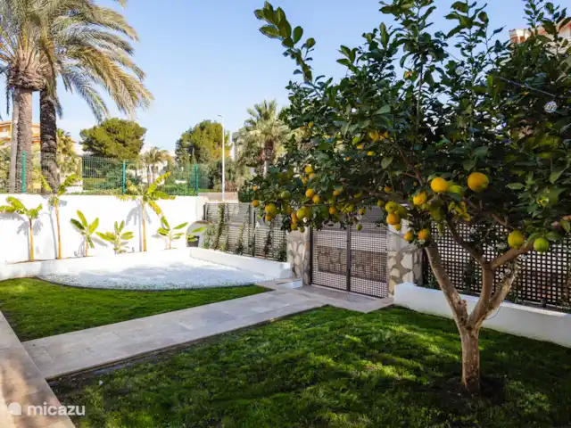 Casa Limon | Espagne, Costa Blanca, Jávea - maison de vacances Jardin