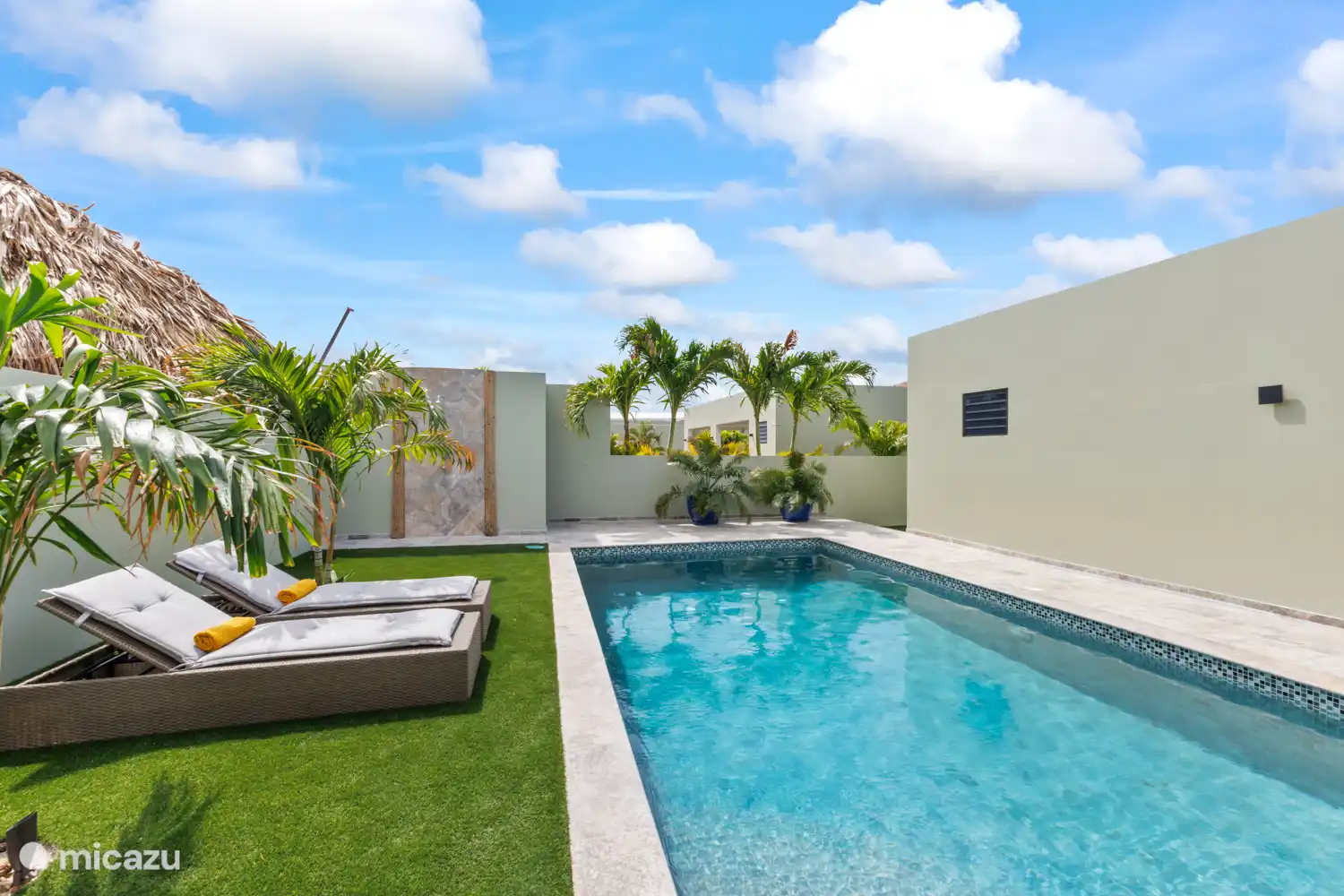 Private swimming pool with outdoor shower