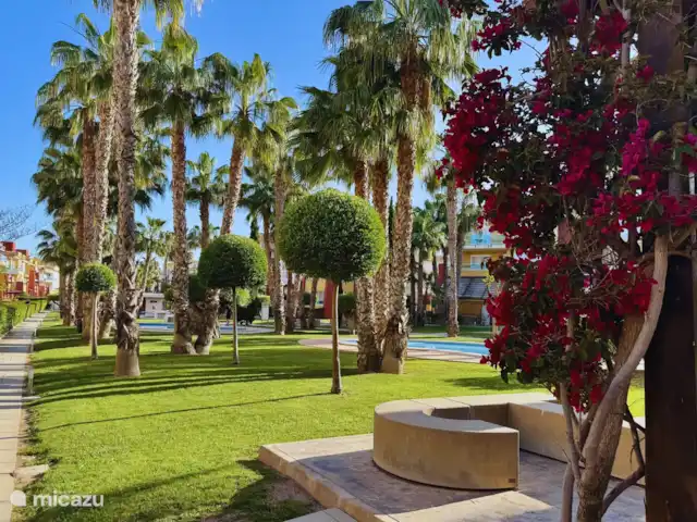 Casa Oro Deluxe | Espagne, Murcia, Fuente Alamo - appartement Jardin magnifiquement entretenu avec des fleurs colorées et des coins salon ombragés.