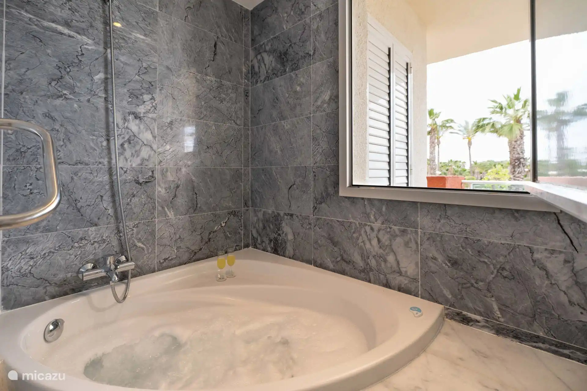 Profitez d’une vue imprenable sur les palmiers depuis le jacuzzi.