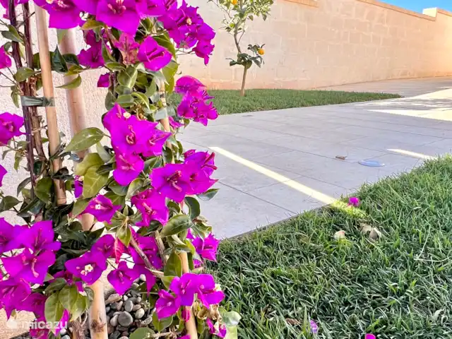 Location de Vacances Italie, Pouilles (Puglia), Manduria, villa - Villa Afrodite Jardin