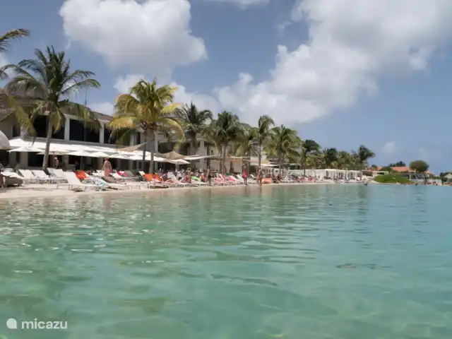 Appartement privé de luxe + piscine #2 | Curaçao, Banda Ariba (est), Vista Royal - appartement