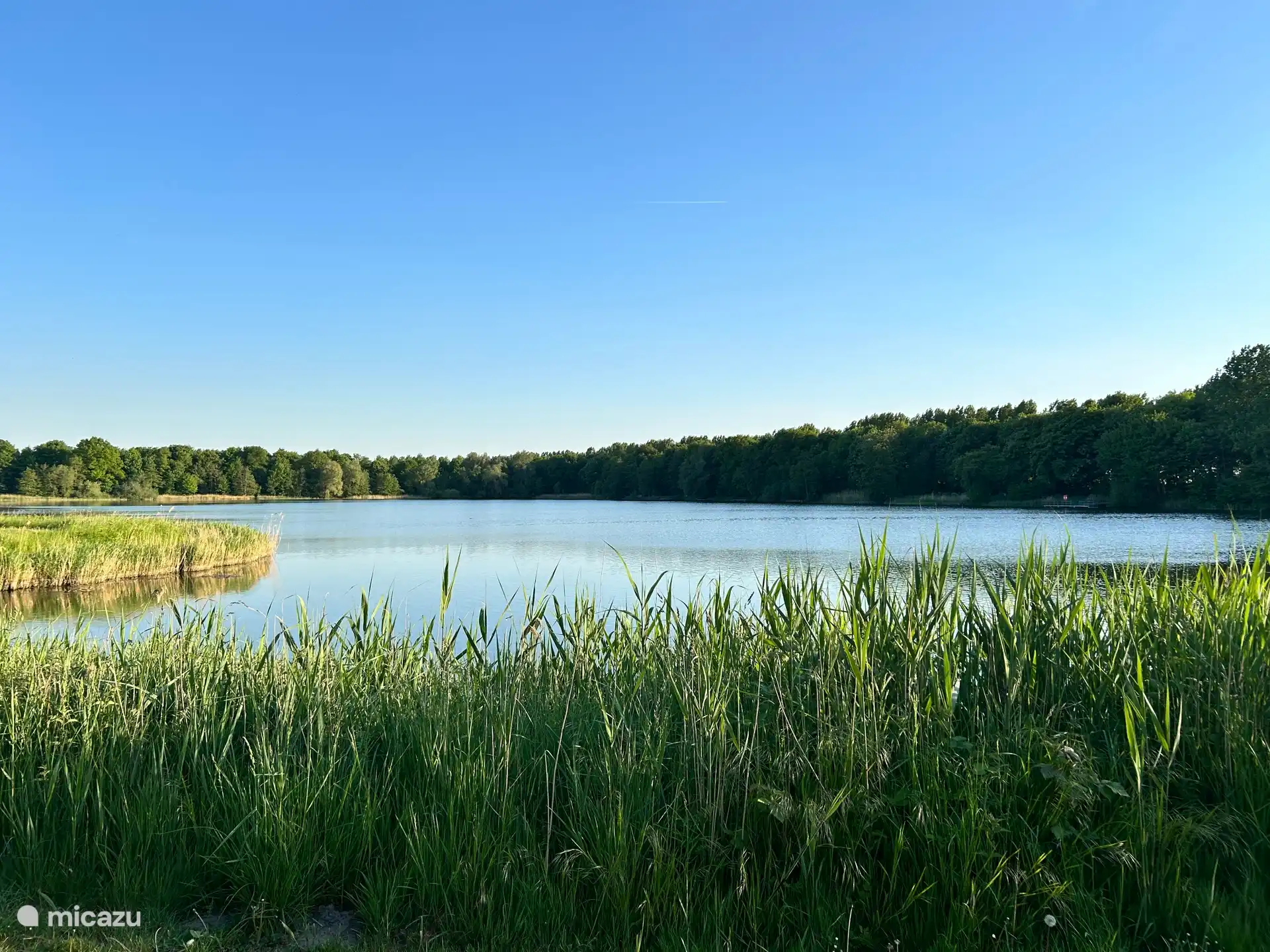 Estanque / estanque de peces