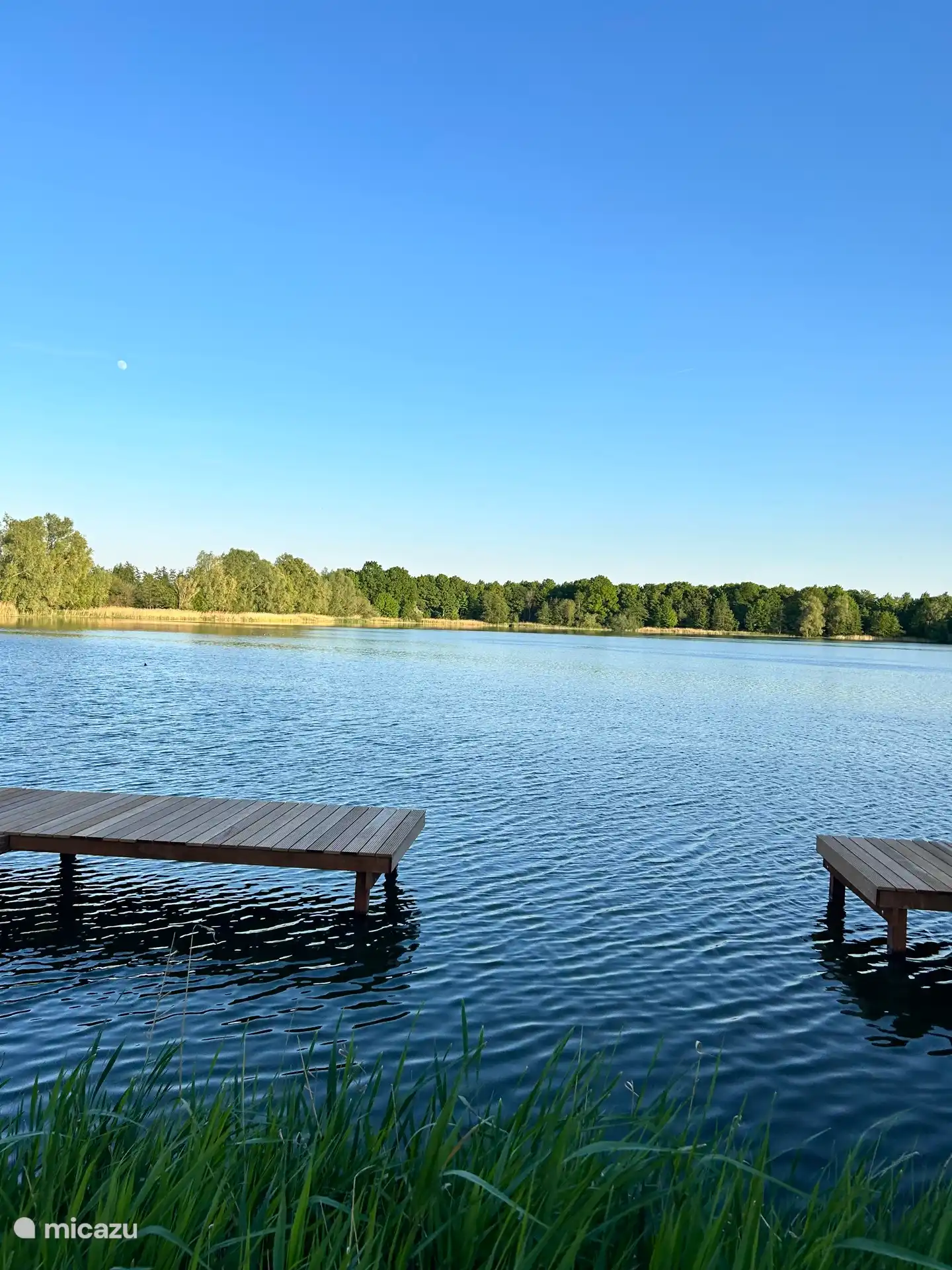 Estanque / estanque de peces 