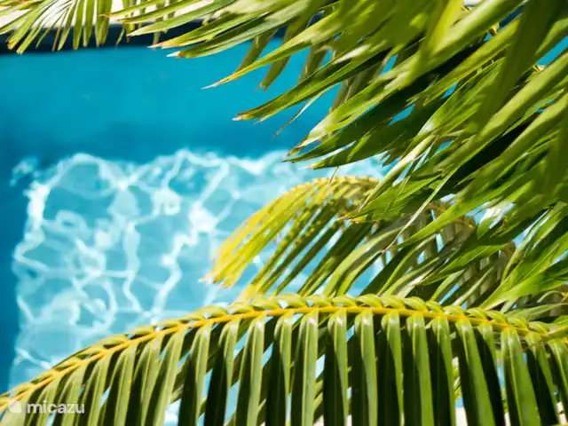 Luxury private Apartment +pool #3 in Curaçao, Banda Ariba (oost), Vista Royal - appartement
