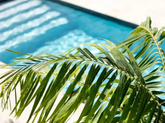 Fitness, Curazao, Banda Arriba (este), Vista Royal, apartamento  Apartamento privado de lujo + piscina #4